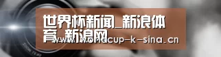 公司动态