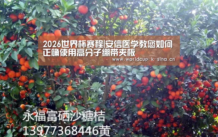 2026世界杯赛程|安信医学教您如何正确使用高分子绷带夹板(图1) 2026世界杯赛程