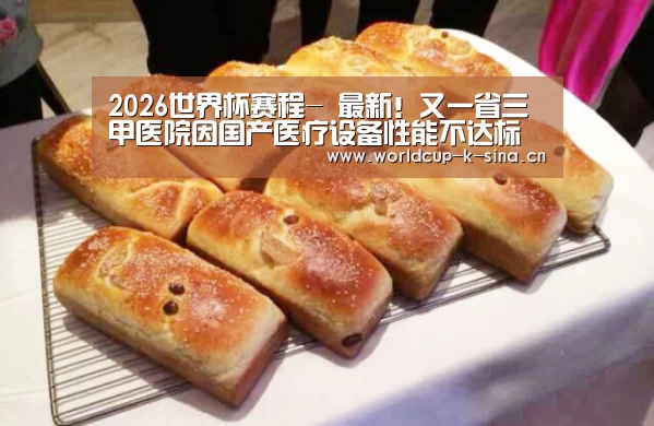 世界杯直播