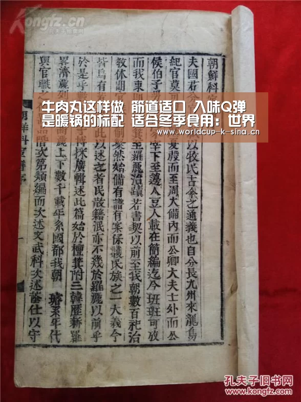 世界杯直播
